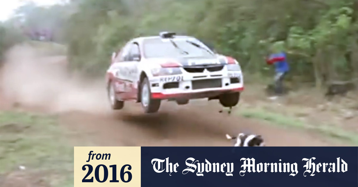 Video Rally car jumps lucky dog